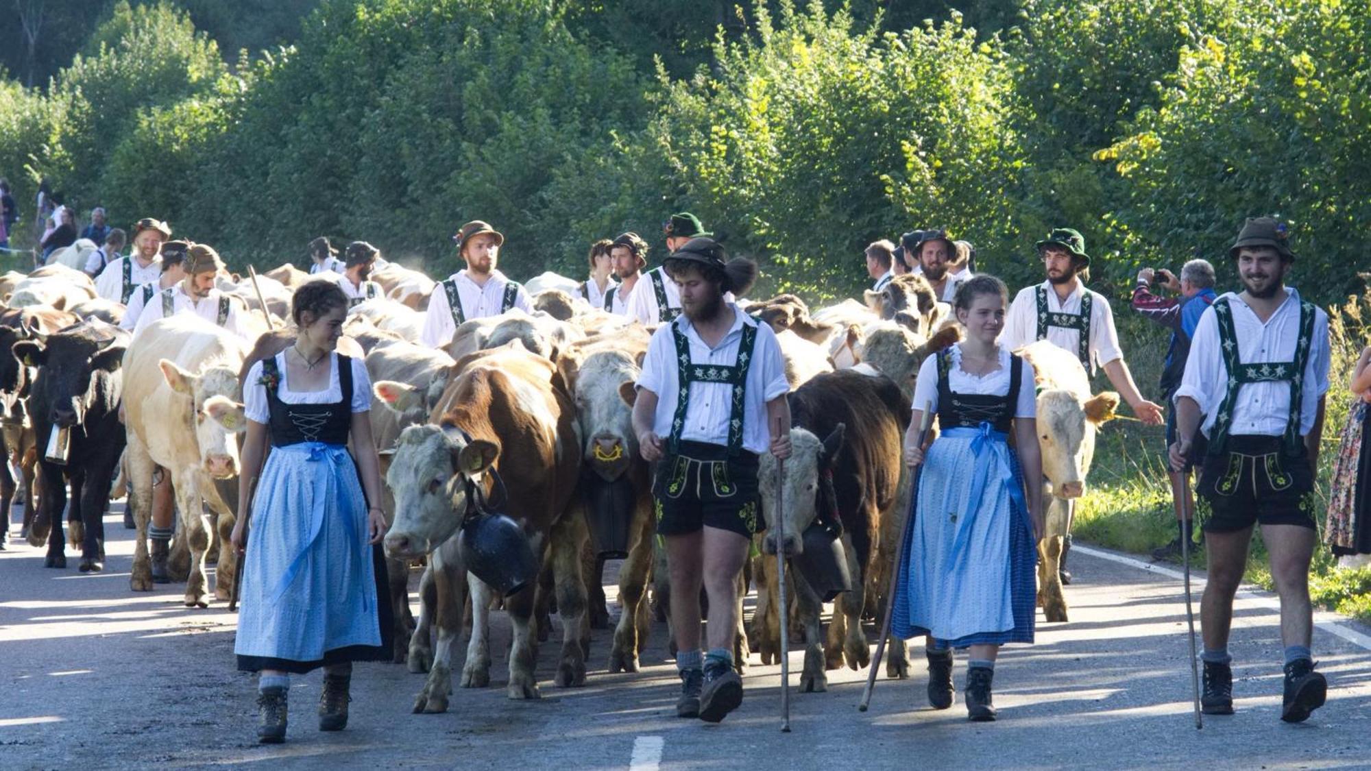 Fewo "Staufner Domizil" Oberstaufen Luaran gambar